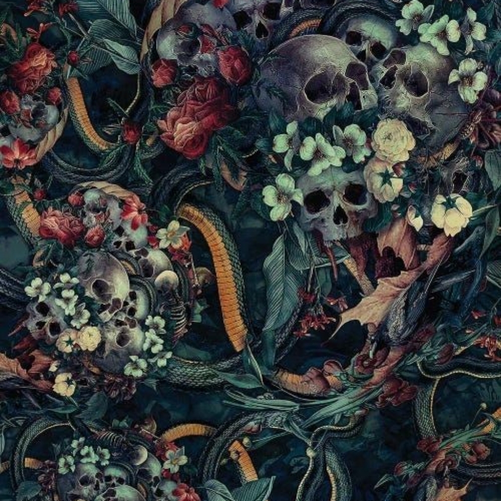 Meet your Posher, BlackDahlia